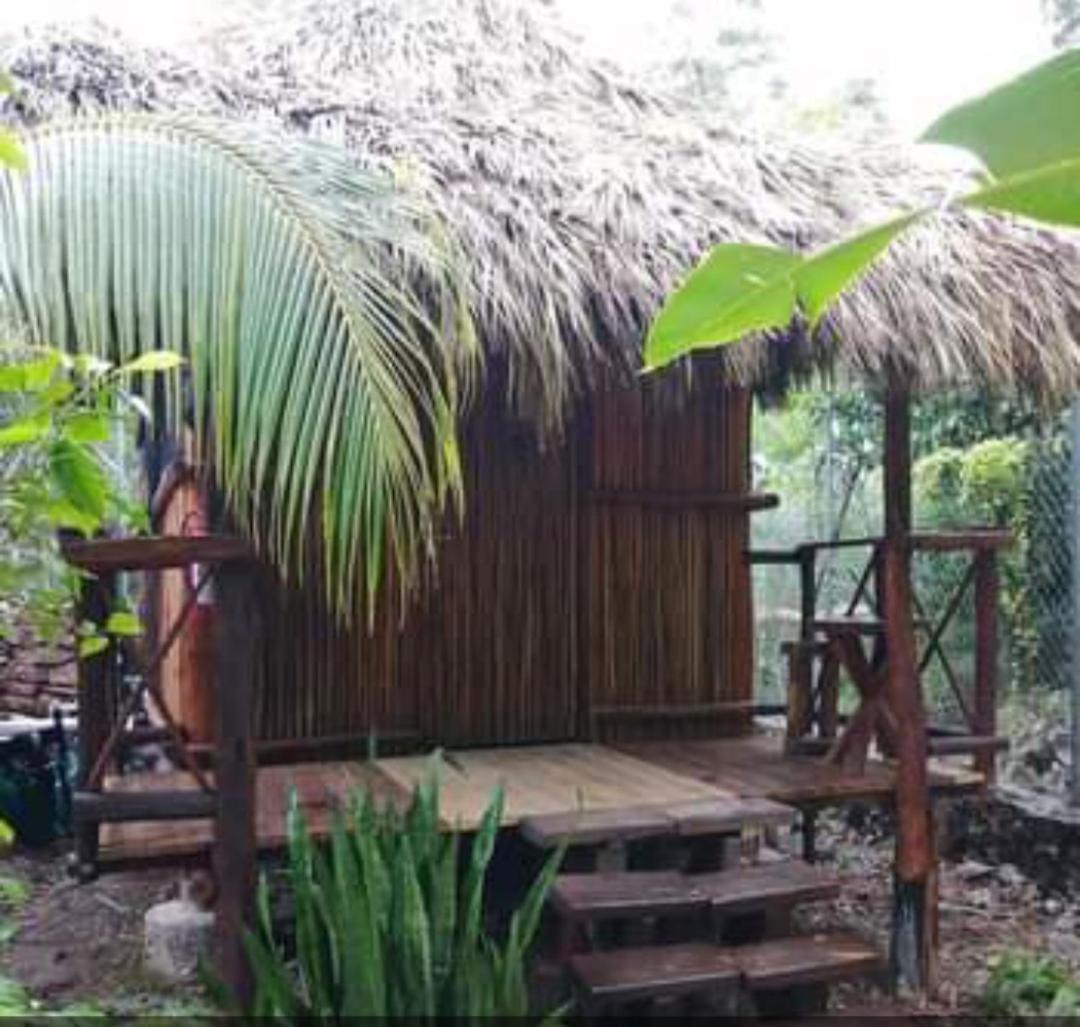 Apartamento Malinche Cafe In Coba Tulum Habitación foto
